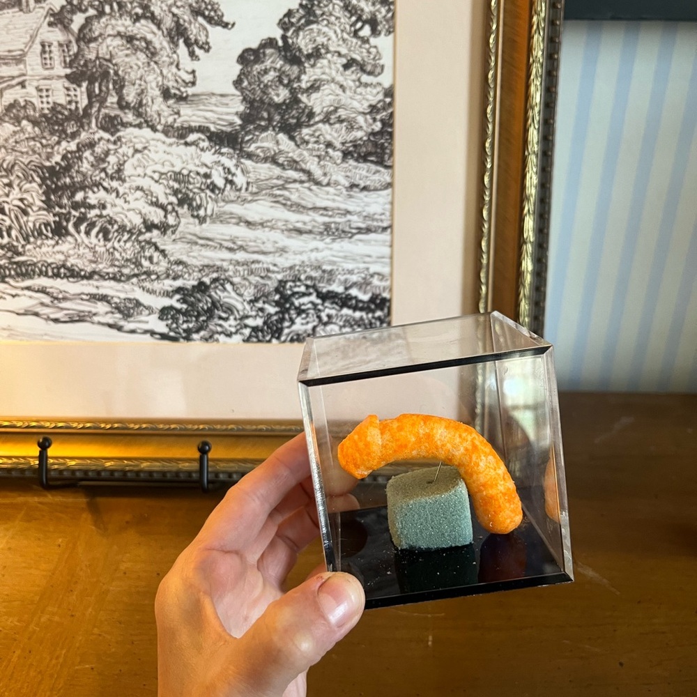 RARE Cheeto Puff Shaped Like a “You-Know-What” | One-of-a-Kind